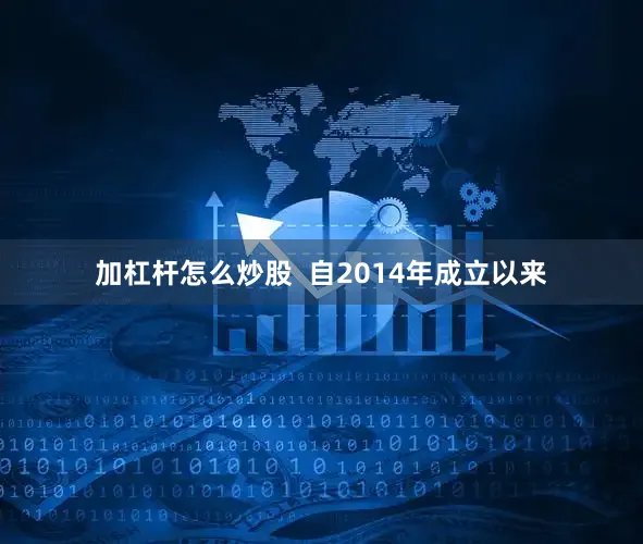 加杠杆怎么炒股  自2014年成立以来