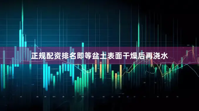 正规配资排名即等盆土表面干燥后再浇水