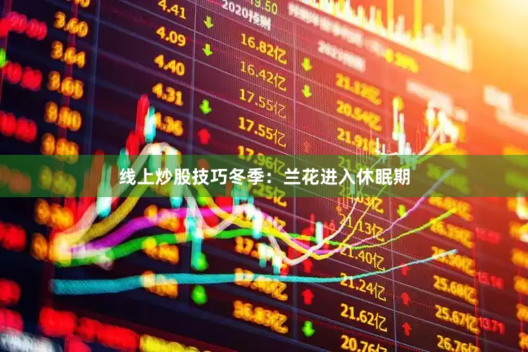 线上炒股技巧冬季：兰花进入休眠期