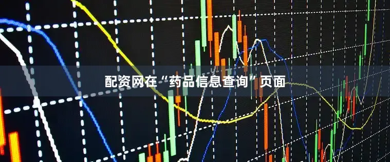 配资网在“药品信息查询”页面