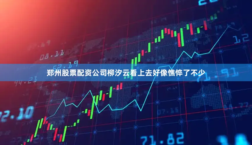 郑州股票配资公司柳汐云看上去好像憔悴了不少