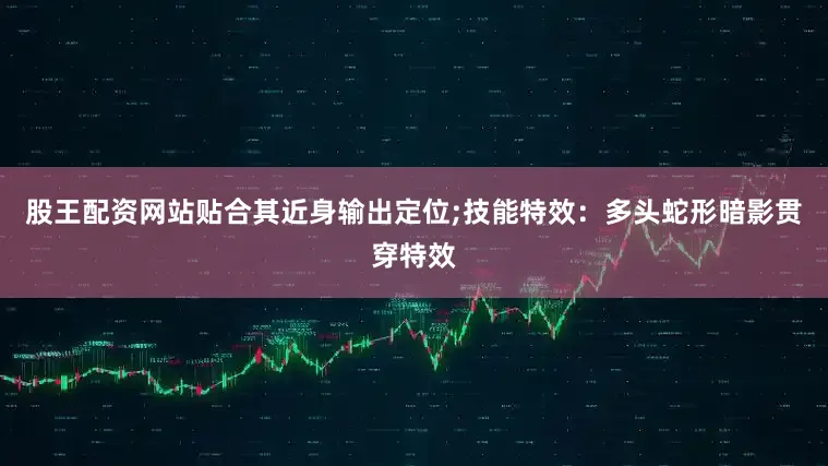 股王配资网站贴合其近身输出定位;技能特效：多头蛇形暗影贯穿特效